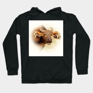 African forest buffalo Hoodie